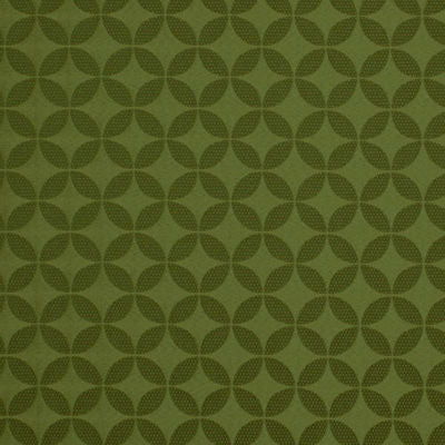 ROBERT ALLEN FABRICS-ASTERLING -EDAMAME