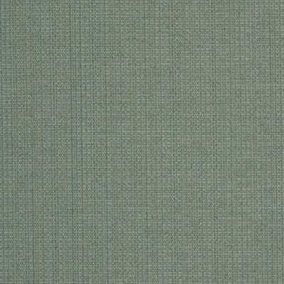 ROBERT ALLEN FABRICS-CASPARINI -ALOE