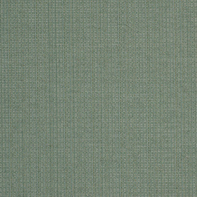 ROBERT ALLEN FABRICS-CASPARINI -ALOE