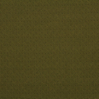 ROBERT ALLEN FABRICS-OPTICAL FACET -CACTUS
