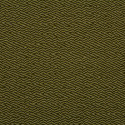 ROBERT ALLEN FABRICS-OPTICAL FACET -CACTUS
