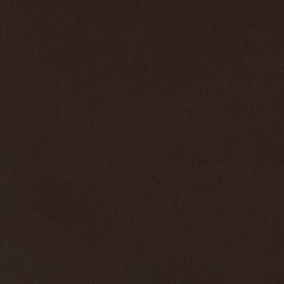 ROBERT ALLEN FABRICS-SPLASH -CHESTNUT