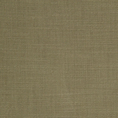 ROBERT ALLEN FABRICS-LINEN IMAGE -NATURAL