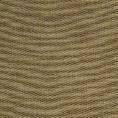 ROBERT ALLEN FABRICS-LINEN IMAGE -TAN