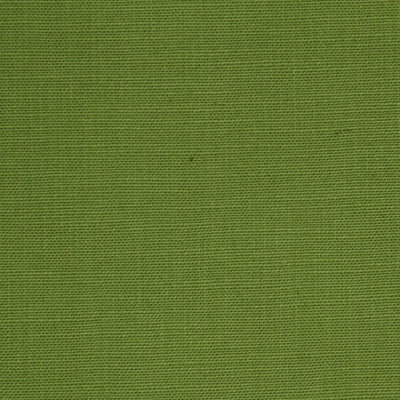 ROBERT ALLEN FABRICS-LINEN IMAGE -EDAMAME