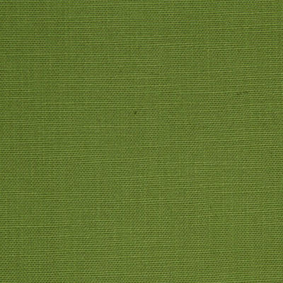 ROBERT ALLEN FABRICS-LINEN IMAGE -EDAMAME