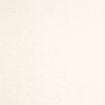 ROBERT ALLEN FABRICS-CIPHER -ALABASTER