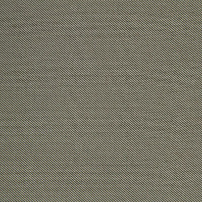 ROBERT ALLEN FABRICS-ST TROPEZ -DUNE