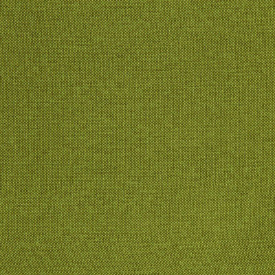 ROBERT ALLEN FABRICS-CALLISBURG -GRASS