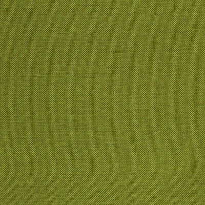 ROBERT ALLEN FABRICS-CALLISBURG -GRASS