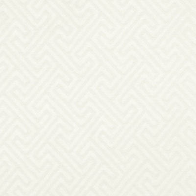 ROBERT ALLEN FABRICS-BEWILDERMENT -CREME