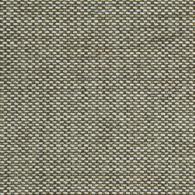 ROBERT ALLEN FABRICS-UNTIL DAWN -LELEFANT