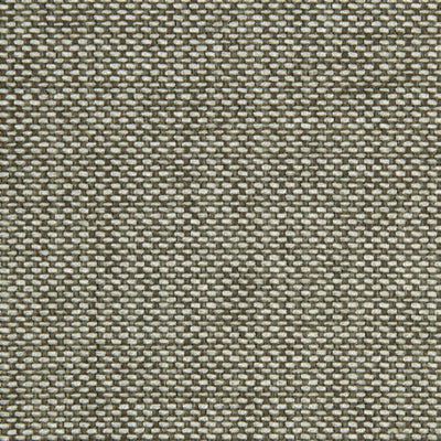 ROBERT ALLEN FABRICS-UNTIL DAWN -LELEFANT