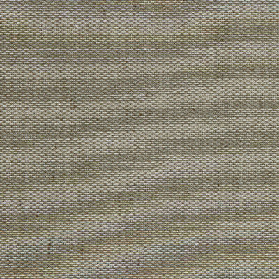 ROBERT ALLEN FABRICS-GLIMMER SPOTS -SILVER