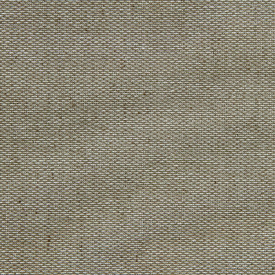 ROBERT ALLEN FABRICS-GLIMMER SPOTS -SILVER