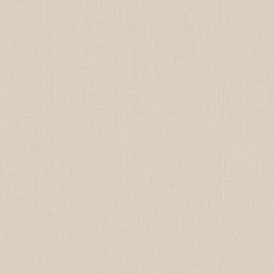 SCHUMACHER FABRICS -22610-SARGENT SILK TAFFETA