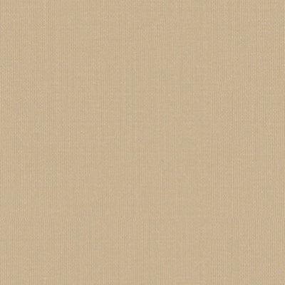 SCHUMACHER FABRICS -22612-SARGENT SILK TAFFETA