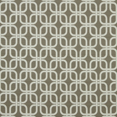 ROBERT ALLEN FABRICS-PLUSH LINKS -GREYSTONE