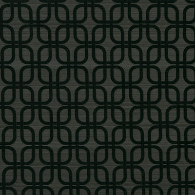 ROBERT ALLEN FABRICS-PLUSH LINKS -NIGHTSKY