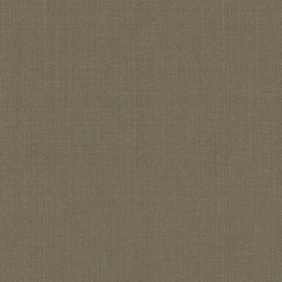 SCHUMACHER FABRICS -22676-SARGENT SILK TAFFETA