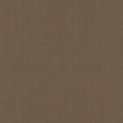 SCHUMACHER FABRICS -22677-SARGENT SILK TAFFETA