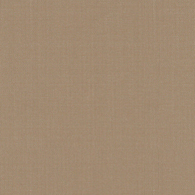 SCHUMACHER FABRICS -22679-SARGENT SILK TAFFETA
