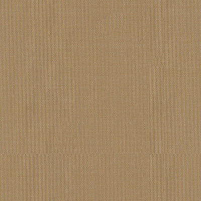 SCHUMACHER FABRICS -22685-SARGENT SILK TAFFETA