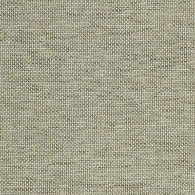ROBERT ALLEN FABRICS-CANVAS SHEEN -LINEN