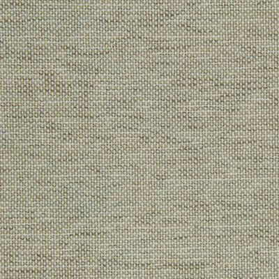 ROBERT ALLEN FABRICS-CANVAS SHEEN -LINEN