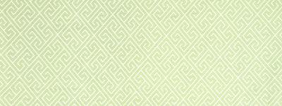 ROBERT ALLEN FABRICS-ENDLESS PATHS -DEW