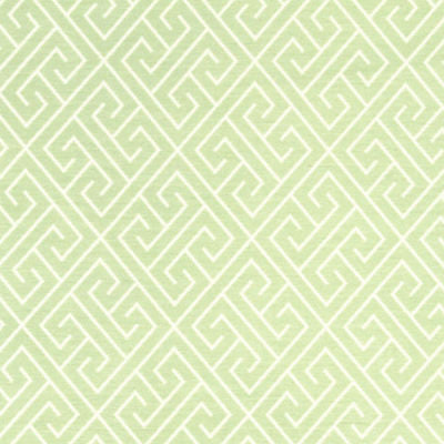 ROBERT ALLEN FABRICS-ENDLESS PATHS -DEW