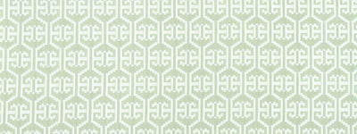 ROBERT ALLEN FABRICS-SNAKE RANGE -DEW
