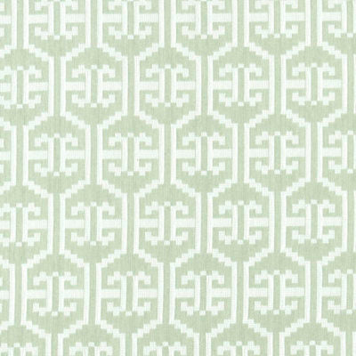 ROBERT ALLEN FABRICS-SNAKE RANGE -DEW
