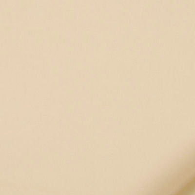 ROBERT ALLEN FABRICS-TREASURE BEACH -LATTE