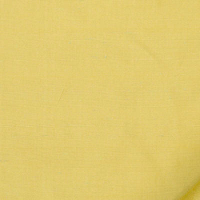 ROBERT ALLEN FABRICS-ALLEPEY -CITRUS