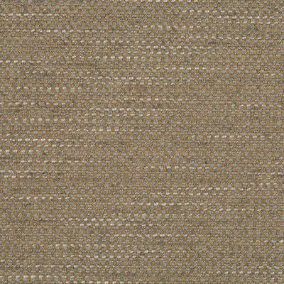 ROBERT ALLEN FABRICS-PRIMOTEX BK -BRINDLE