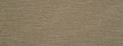 ROBERT ALLEN FABRICS-PRIMOTEX BK -BRINDLE