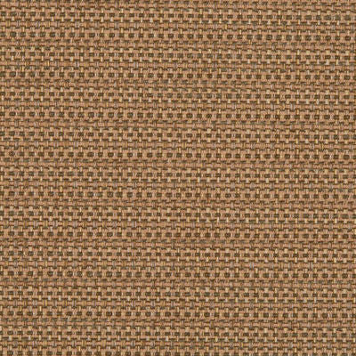 ROBERT ALLEN FABRICS-PRIMOTEX BK -TAUPE