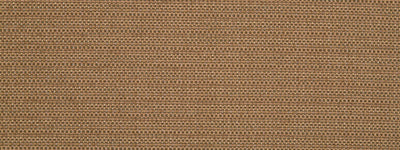 ROBERT ALLEN FABRICS-PRIMOTEX BK -TAUPE