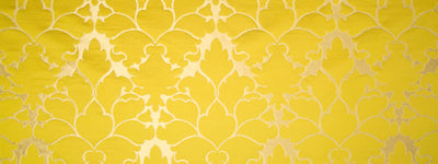 BEACON HILL FABRICS-BLOSSOM FRAME -CHARTREUSE