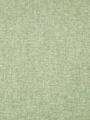 ROBERT ALLEN FABRICS-PLUSHTONE BK -RAIN