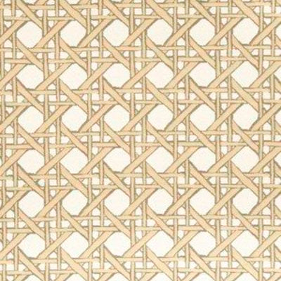 ROBERT ALLEN FABRICS-FRESH CANE BK -GOLDLEAF