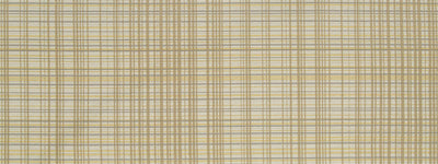ROBERT ALLEN FABRICS-CRONOS -WARMNEUTRAL