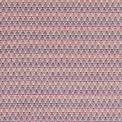 ROBERT ALLEN FABRICS-POINT BLANK -BEET