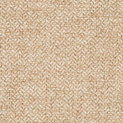 ROBERT ALLEN FABRICS-NOBLETEX RR BK -LINEN