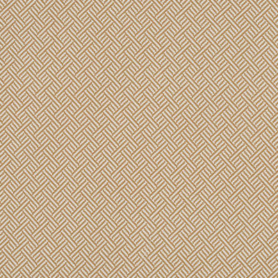 ROBERT ALLEN FABRICS-BEACH CLUB BK -AMBER