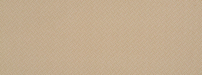 ROBERT ALLEN FABRICS-BEACH CLUB BK -AMBER