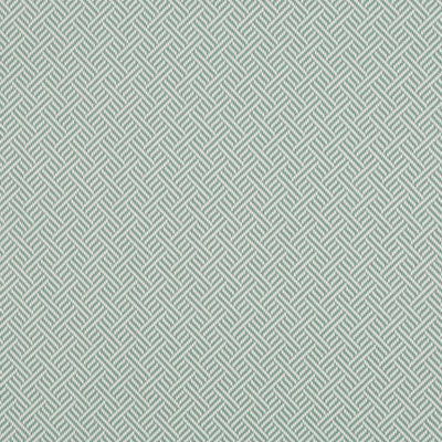 ROBERT ALLEN FABRICS-BEACH CLUB BK -CELADON