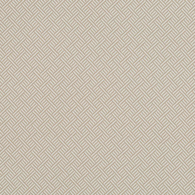 ROBERT ALLEN FABRICS-BEACH CLUB BK -LINEN