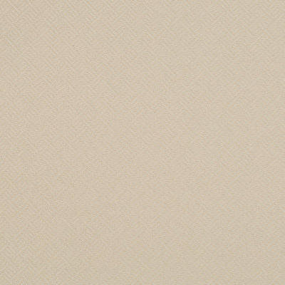 ROBERT ALLEN FABRICS-BEACH CLUB BK -TWINE